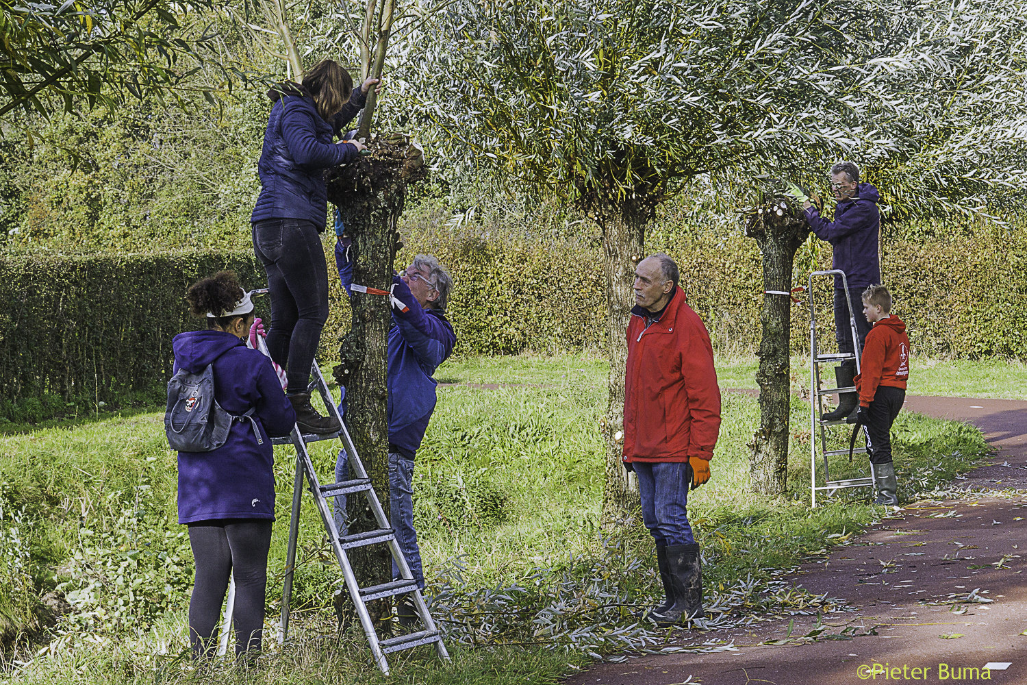 lindenholt groen foto